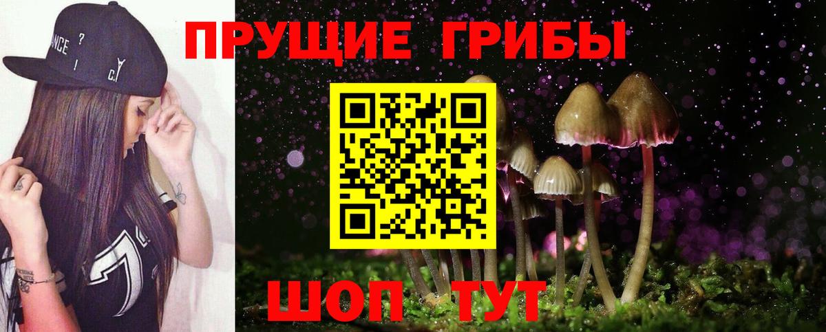 Галлюциногенные грибы Psilocybine cubensis  Галлюциногенные грибы Magic Shrooms  Вход с VPN  Ковров 